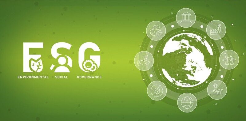 ESG Compliance Guide for Businesses