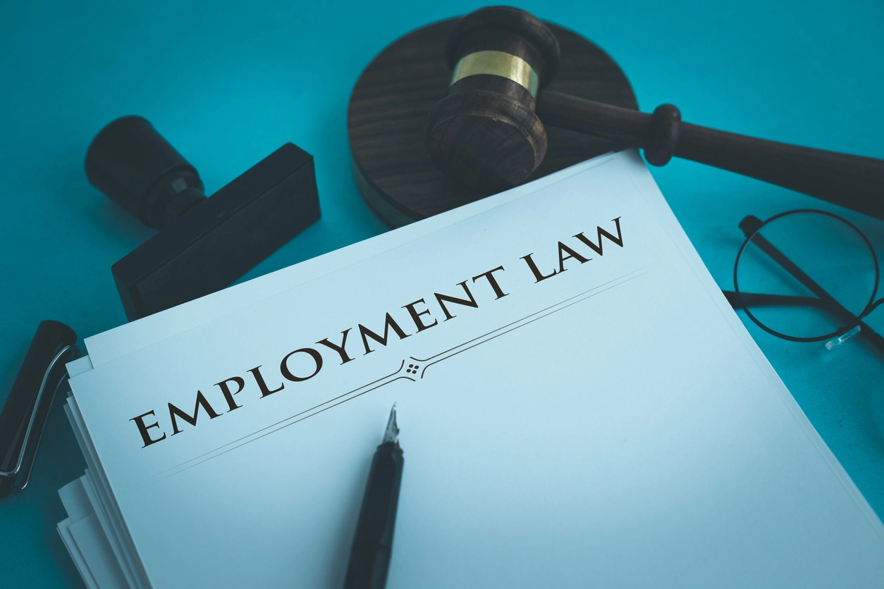Employment Law Lawyers